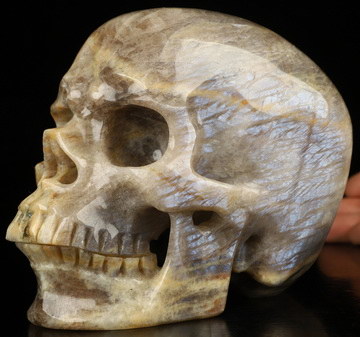 Super Realistic! Lifesized 6.1" Moonstone with Sunstone Hand Carved Crystal Skull, Crystal Healing