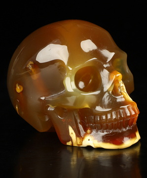 2.0" Carnelian Hand Carved Crystal Skull, Realistic, Crystal Healing