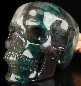 Lifesized 7.1" Fluorite Hand Carved Crystal Skull, Super Realistic, Crystal Healing