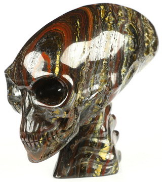 5.1" Colorful Tiger Iron Eye Hand Carved Crystal Elongated Mayan Alien Skull with Spine Sculpture, Crystal Healing