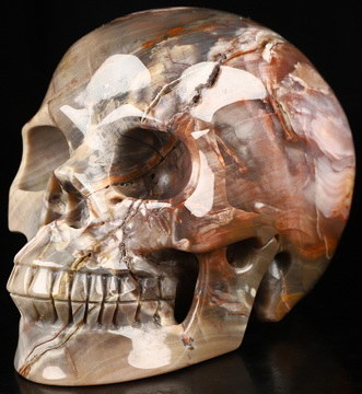 5.1" Petrified Wood Hand Carved Crystal Skull, Realistic, Crystal Healing