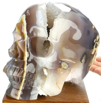 Super Realistic! Lifesized 8.1" Agate Geode Hand Carved Crystal Skull, Crystal Healing