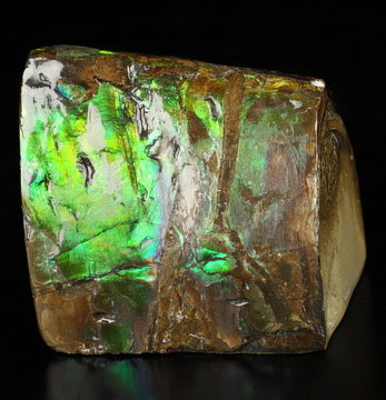1.8" Ammolite Hand Carved Crystal Skull Fine Art Sculpture, Crystal Healing
