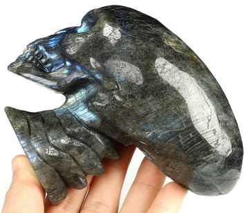 5.0" Labradorite Hand Carved Crystal Elongated Mayan Alien Skull with Spine Sculpture, Crystal Healing