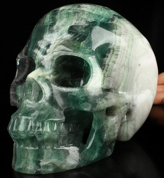Lifesized 6.9" Fluorite Hand Carved Crystal Skull, Realistic, Crystal Healing