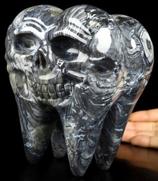 5.8" Morris Jasper Hand Carved Crystal Skull Fine Art Sculpture, Crystal Healing