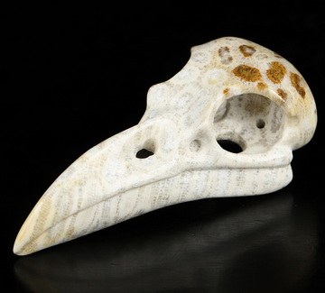 Necklace of 2.3" Coral Fossil Hand Carved Crystal Skull Pendant, Skull Jewelry