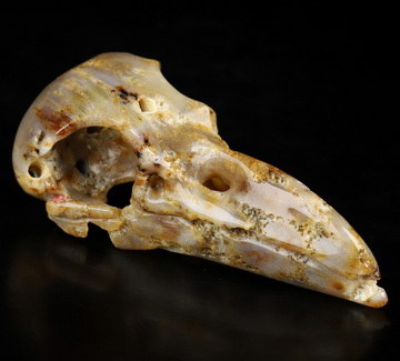 Necklace of 2.3" Coral Fossil Hand Carved Crystal Skull Pendant, Skull Jewelry