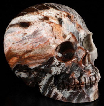 3.6" Petrified Wood Hand Carved Crystal Skull, Realistic, Crystal Healing