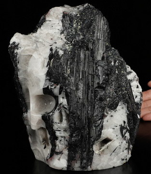 8.1" Black Tourmaline Hand Carved Crystal Skull Fine Art Sculpture, Crystal Healing