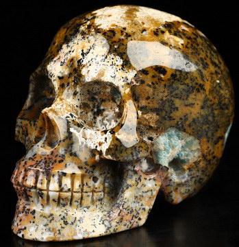 3.5" Brown Ocean Agate Hand Carved Crystal Skull, Crystal Healing