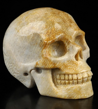 2.0" Coral Fossil Hand Carved Crystal Skull, Realistic, Crystal Healing