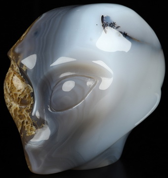 3.6" Green Moss Agate Star Being Female Alien Crystal Skull Companion, Hand Carved Gemstone Fine Art Sculpture, Reiki Healing Stone Statue