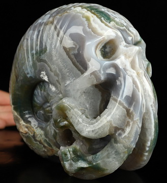 5.6" Green Moss Agate Hand Carved Nautiloid Cthulhu Crystal Skull Sculpture, Crystal Healing
