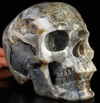 Super Realistic! Lifesized 6.1" Sagenitic Japser Hand Carved Crystal Skull, Crystal Healing