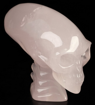 3.6" Rose Quartz Hand Carved Crystal Elongated Mayan Alien Skull with Spine Sculpture, Crystal Healing