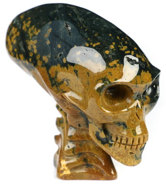 3.6" Ocean Jasper Hand Carved Crystal Elongated Mayan Alien Skull with Spine Sculpture, Crystal Healing