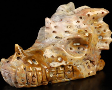 3.9" Coral Fossil Hand Carved Crystal Dragon Skull Sculpture, Crystal Healing