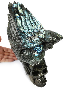 12.4" Labradorite Hand Carved Crystal Skull and Owl Sculpture, Crystal Healing