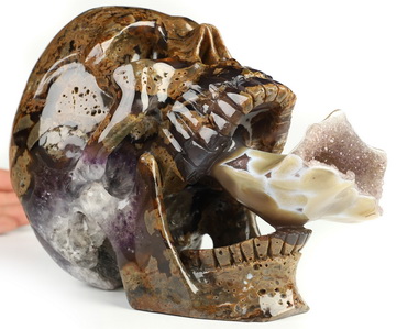 7.6" Dinosaur Egg Agate Geode Hand Carved Crystal Skull Fine Art Sculpture, Crystal Healing