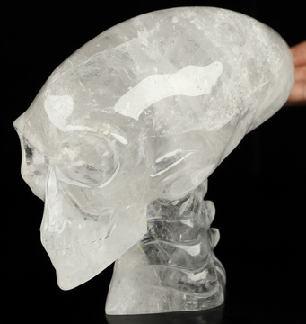 6.3" Quartz Rock Crystal Hand Carved Crystal Elongated Mayan Alien Skull with Spine Sculpture, Crystal Healing