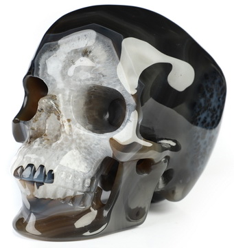 5.1" Premium Brazilian Agate Hand Carved Crystal Skull, Super Realistic, Crystal Healing