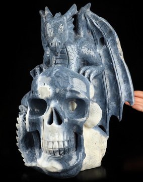 9.5" Blue Ridge Coral Hand Carved Crystal Skull and Dragon Fine Art Sculpture, Crystal Healing