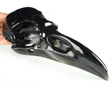 8.8" Premium Brazilian Agate Hand Carved Raven Crystal Skull  Sculpture, Crystal Healing