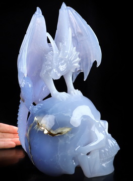 9.1" Blue Chalcedony Hand Carved Crystal Skull and Dragon Fine Art Sculpture, Crystal Healing