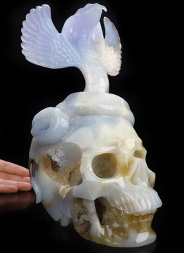 10.4" Blue Chalcedony Hand Carved Crystal Skull and Snake Fine Art Sculpture, Crystal Healing