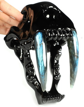 7.9" Black Obsidian Hand Carved Crystal Smilodon SABER-TOOTHED Tiger/Cat Skull with Labradorite teeth, Crystal Healing