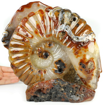 8.7" Agate Hand Carved Crystal Alien Skull Fine Art Sculpture, Crystal Healing