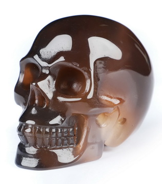 Gemstone 2.0" Mozambique Agate Hand Carved Crystal Skull, Realistic, Crystal Healing