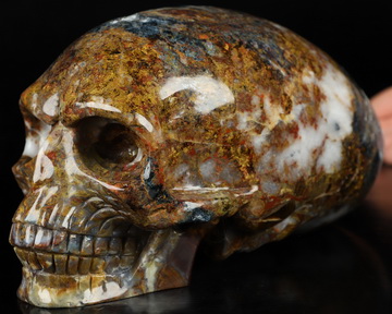 7.7" Pietersite Hand Carved Crystal Elongated Mayan Alien Skull Sculpture, Crystal Healing