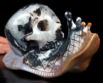 7.4" Black Zebra Agate Hand Carved Crystal Snail Skull Sculpture, Crystal Healing