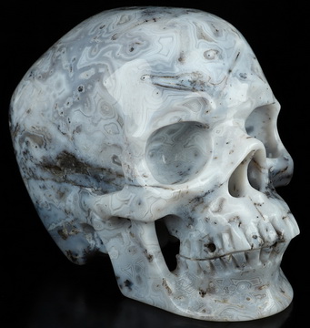 5.1" Sagenitic Agate Hand Carved Crystal Skull, Super Realistic, Crystal Healing