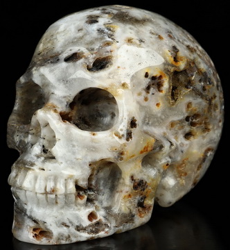 3.5" Sagenitic Agate Hand Carved Crystal Skull, Realistic, Crystal Healing