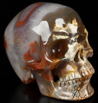 3.5" Dinosaur Egg Agate Hand Carved Crystal Skull, Super Realistic, Crystal Healing
