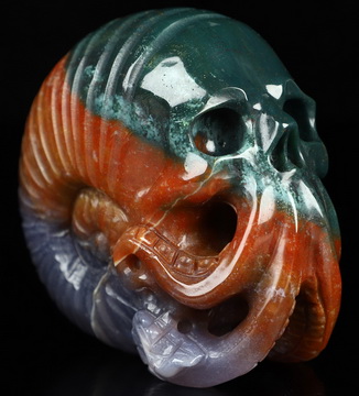 3.6" Indian Agate Hand Carved Nautiloid Cthulhu Crystal Skull Sculpture, Crystal Healing