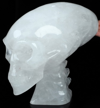 6.3" Quartz Rock Crystal Hand Carved Crystal Elongated Mayan Alien Skull with Spine Sculpture, Crystal Healing