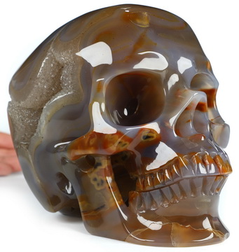 Super Realistic! Lifesized 6.8" Premium Brazilian Agate Geode Hand Carved Crystal Skull, Crystal Healing