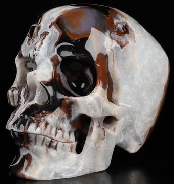5.0" Black Zebra Agate Hand Carved Crystal Skull, Super Realistic, Crystal Healing