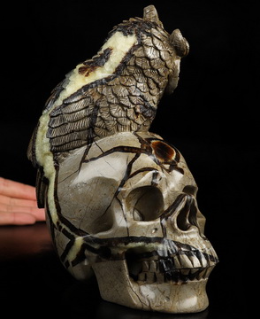 7.2" Dragon Septarian Stone Hand Carved Crystal Skull and Owl Sculpture, Crystal Healing