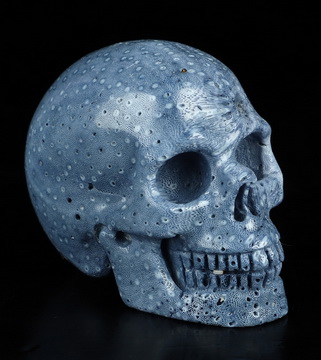 2.0" Blue Ridge Coral Hand Carved Crystal Skull, Realistic, Crystal Healing