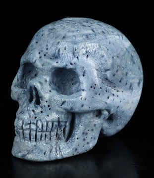 2.0" Blue Ridge Coral Hand Carved Crystal Skull, Realistic, Crystal Healing