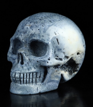 2.0" Blue Ridge Coral Hand Carved Crystal Skull, Realistic, Crystal Healing