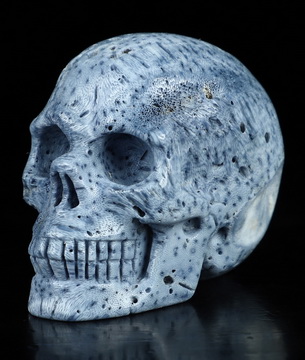 2.0" Blue Ridge Coral Hand Carved Crystal Skull, Realistic, Crystal Healing