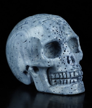 2.0" Blue Ridge Coral Hand Carved Crystal Skull, Realistic, Crystal Healing