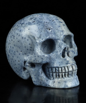 2.0" Blue Ridge Coral Hand Carved Crystal Skull, Realistic, Crystal Healing