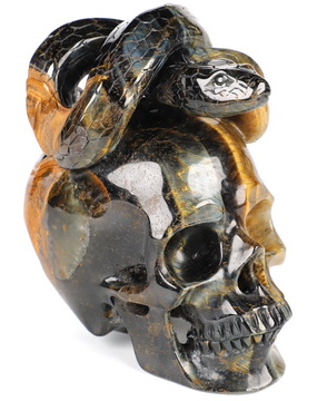 4.7" Blue & Gold Tiger's Eye Hand Carved Crystal Skull and Snake Sculpture, Crystal Healing